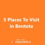5 Places To Visit in Bentota
