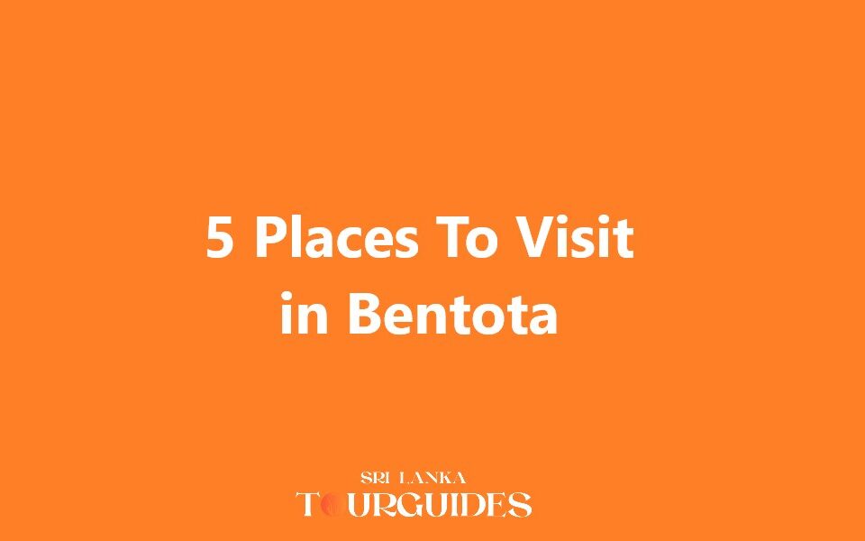 5 Places To Visit in Bentota