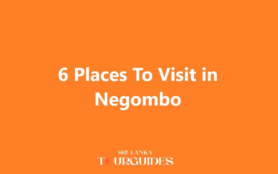 Places To Visit in Negombo