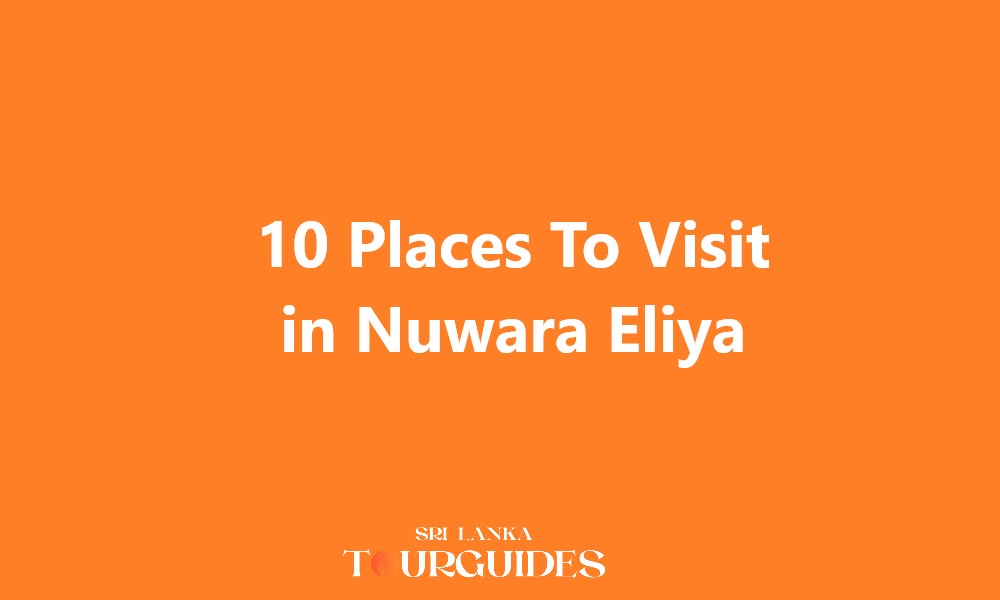 10 Places To Visit in Nuwara Eliya